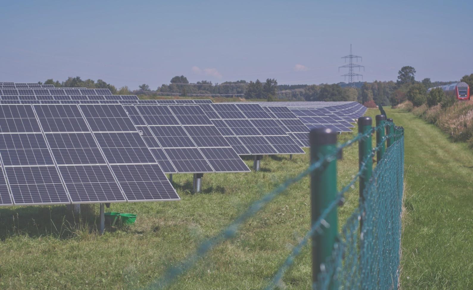 Detaillierte Marktanalyse und Datenvisualisierung